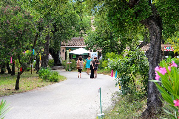 Dans les chemins de Trimurti
