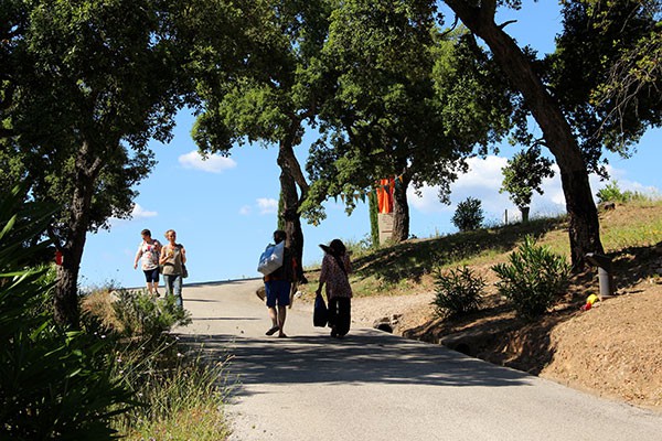 Dans les chemins de Trimurti