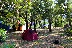 Au camping