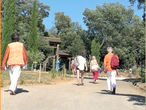 participants